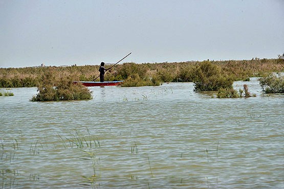 نبود هماهنگی، پاشنه آشیل احیای تالابها نبود هماهنگی، پاشنه آشیل احیای تالابها