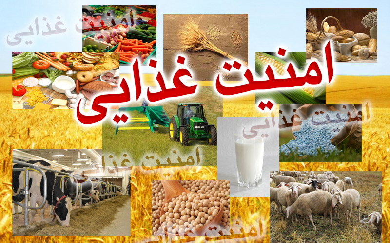 کاهش امنیت غذایی در کشور/ پیشنهاد طرحی جایگزین برای حمایت از معیشت مردم کاهش امنیت غذایی در کشور/ پیشنهاد طرحی جایگزین برای حمایت از معیشت مردم