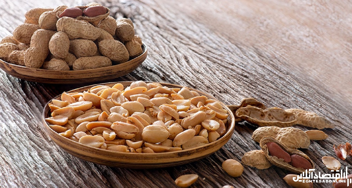 ۱۰۱ خواص بادام زمینی ۱۰۱ خواص بادام زمینی