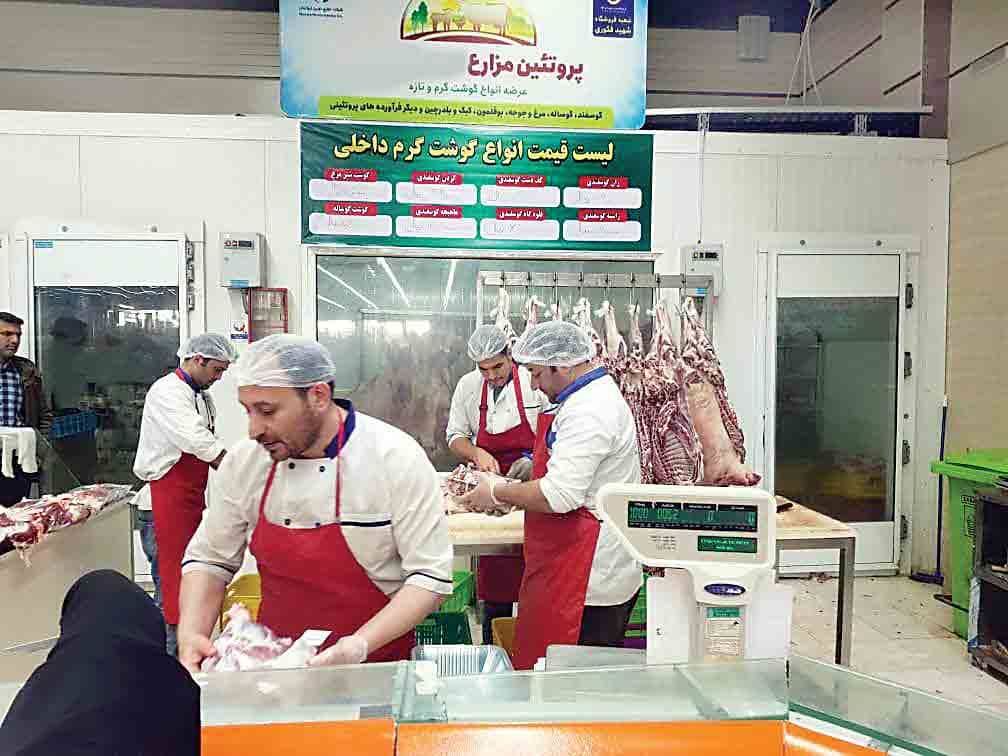 گوشت قرمز ارزان می‌شود؟