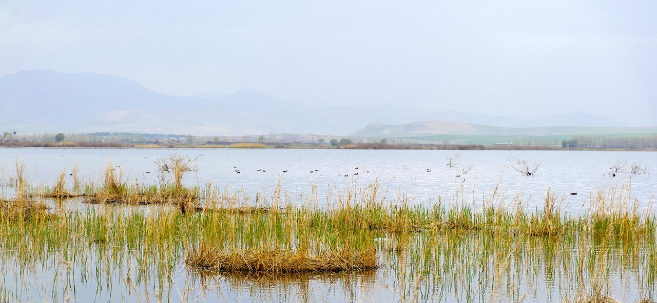 صدای زندگی در ۵۲تالاب ایران پیچید