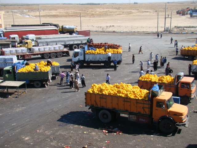 تعیین نرخ خرید تضمینی محصولات کشاورزی توسط شورای ۱۰نفره تعیین نرخ خرید تضمینی محصولات کشاورزی توسط شورای ۱۰نفره