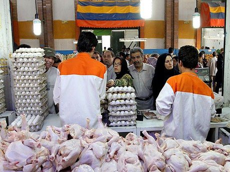 تامین نهاده دامی قیمت مرغ را مشخص میکند تامین نهاده دامی قیمت مرغ را مشخص میکند