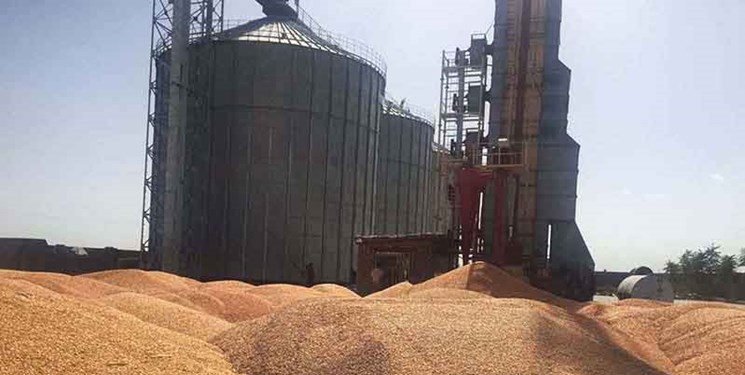 واردات گندم توسط بخش خصوصی همچنان ممنوع است واردات گندم توسط بخش خصوصی همچنان ممنوع است