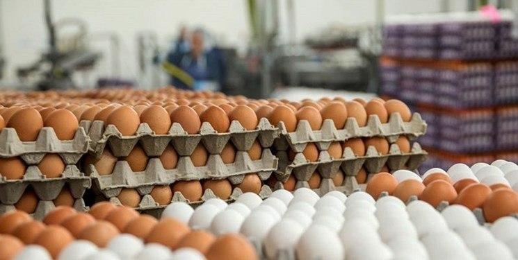 هر شانه تخم مرغ چند؟ هر شانه تخم مرغ چند؟