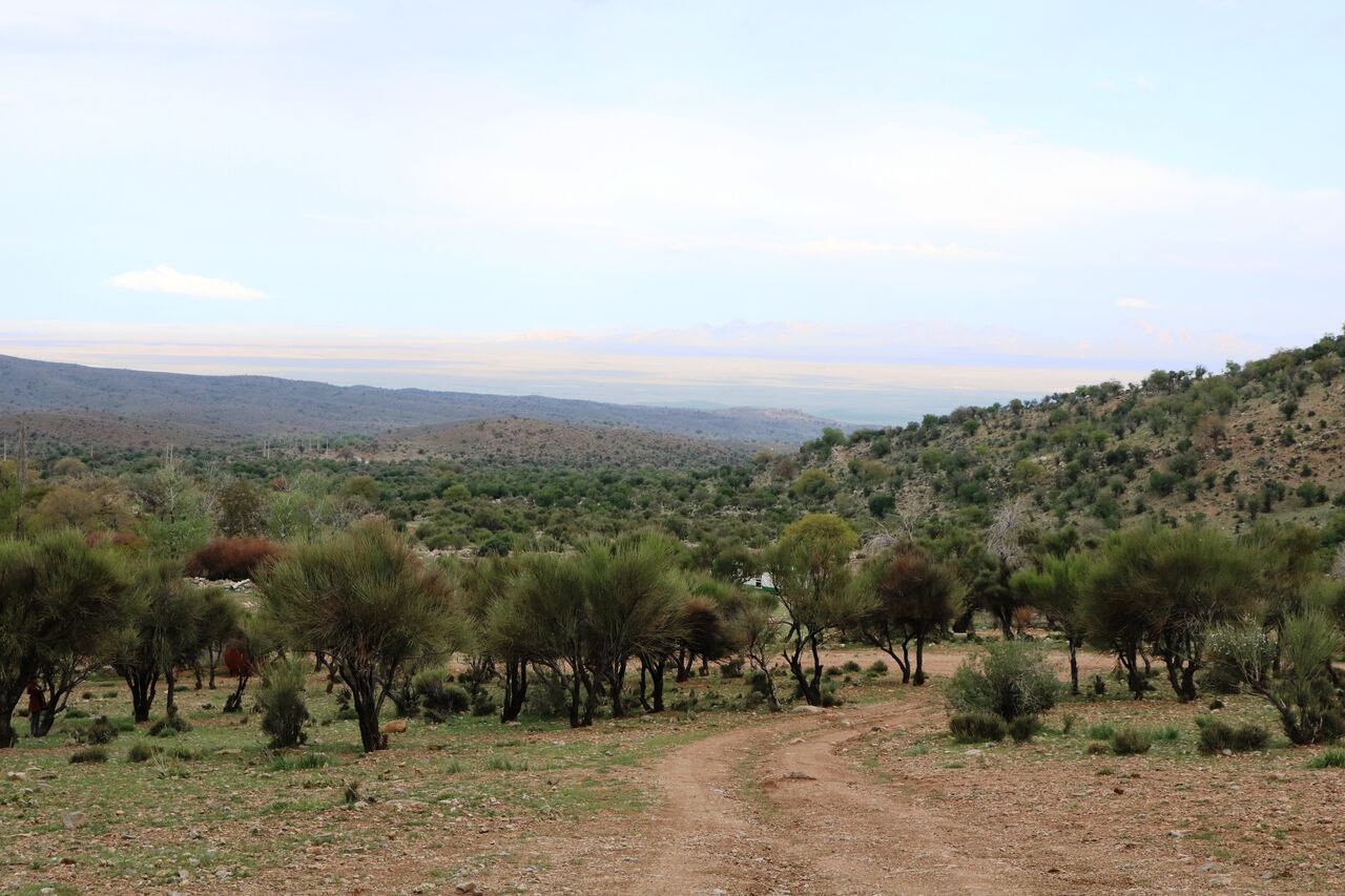 دیوار کوتاه و شکننده کوههای ایران در برابر سودجویان دیوار کوتاه و شکننده کوههای ایران در برابر سودجویان