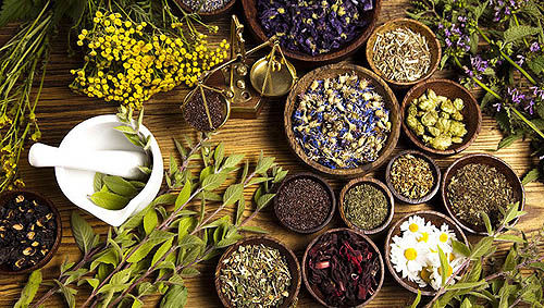 افق صادرات داروهای گیاهی تا ۲۰۵۰ افق صادرات داروهای گیاهی تا ۲۰۵۰