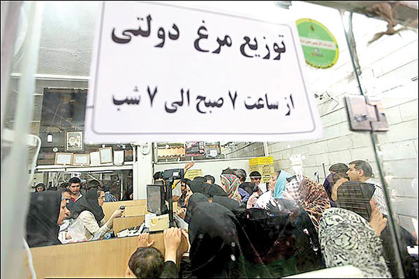 کمبود نهاده عامل تعطیلی مرغداریها کمبود نهاده عامل تعطیلی مرغداریها
