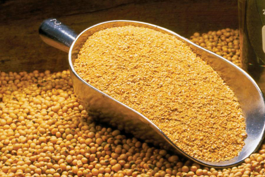 متوسط مصرف نهادههای دامی سالیانه ۲۱میلیون تن است متوسط مصرف نهادههای دامی سالیانه ۲۱میلیون تن است