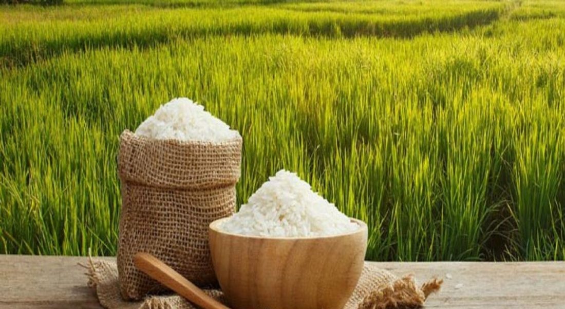 معاملات گواهی سپرده برنج طارم آغاز شد معاملات گواهی سپرده برنج طارم آغاز شد