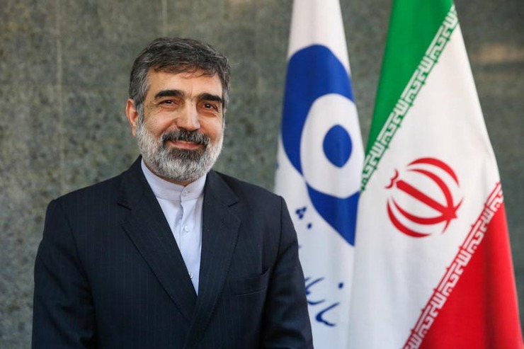 حرف‌های سخنگوی سازمان‌انرژی اتمی از روی تخت بیمارستان