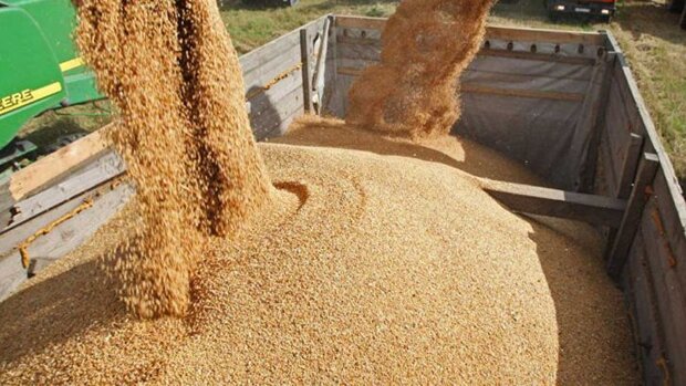 فروش نهاده وارداتی با ارز دولتی در بازار سیاه فروش نهاده وارداتی با ارز دولتی در بازار سیاه