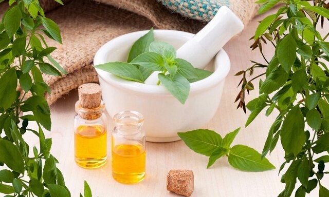 گزینهای طبیعی برای دفع پشه گزینهای طبیعی برای دفع پشه