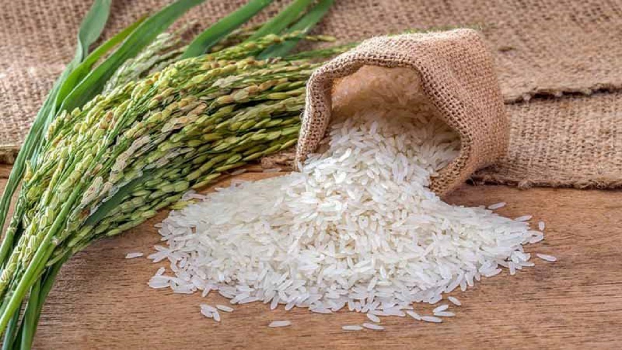 ۱۱ جایگزین سالم برای برنج ۱۱ جایگزین سالم برای برنج