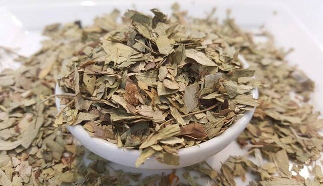 برگ سنا چیست و چه خاصیتی دارد؟ برگ سنا چیست و چه خاصیتی دارد؟