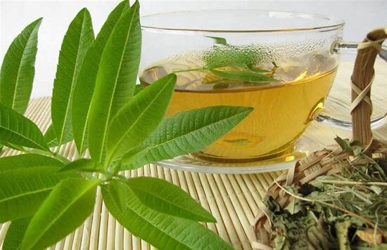 آشنایی با خواص درمانی به لیمو آشنایی با خواص درمانی به لیمو