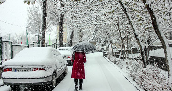 نصف ایران یخ میزند نصف ایران یخ میزند