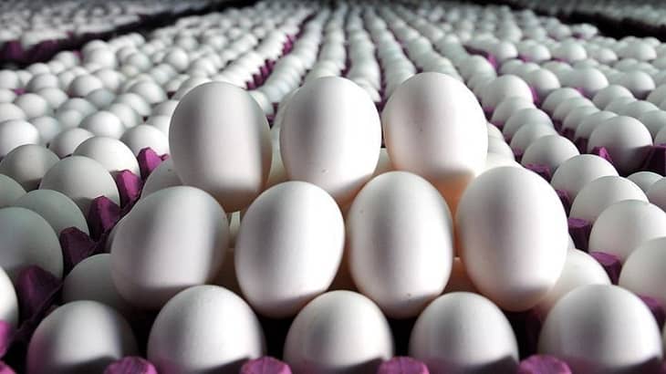 با گرانفروشی مرغ و تخم مرغ برخورد می شود با گرانفروشی مرغ و تخم مرغ برخورد می شود