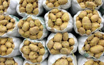 کشف ۶ هزار تن سیب زمینی و پیاز احتکار شده در کرمانشاه + فیلم