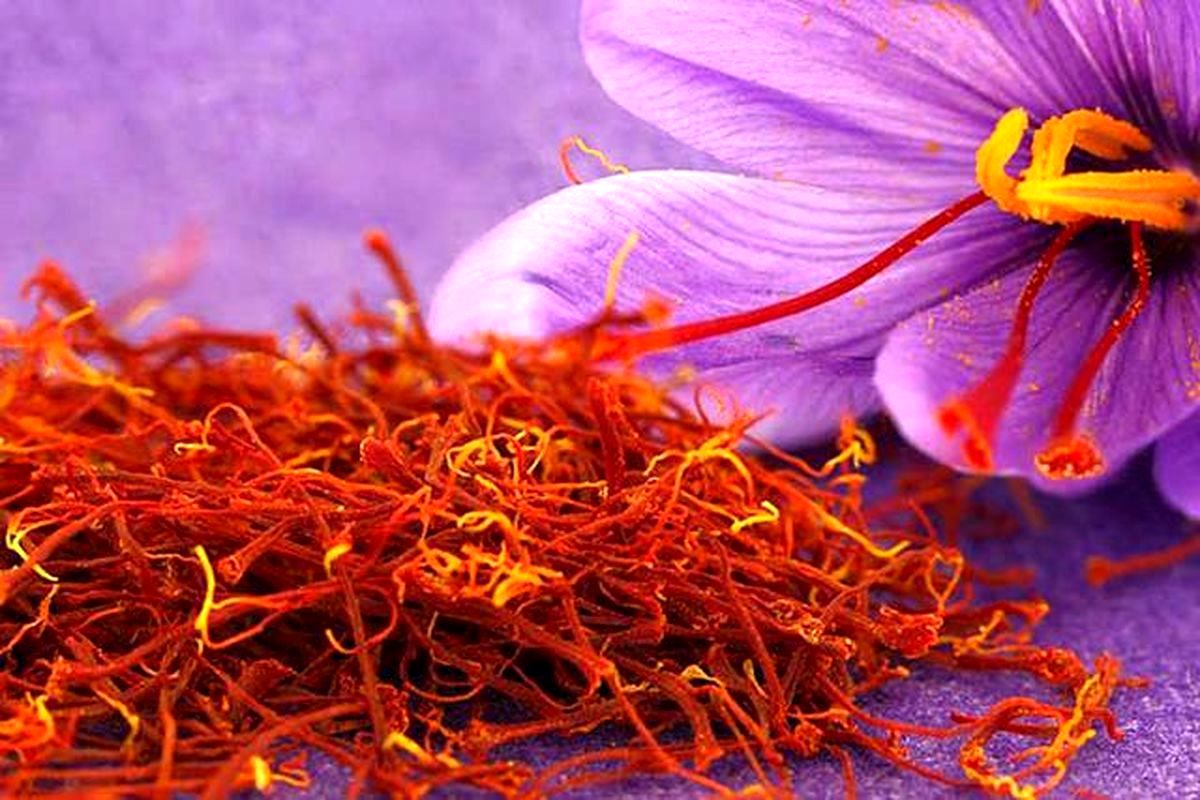 قیمت زعفران گرمی چند؟ (جدول) قیمت زعفران گرمی چند؟ (جدول)