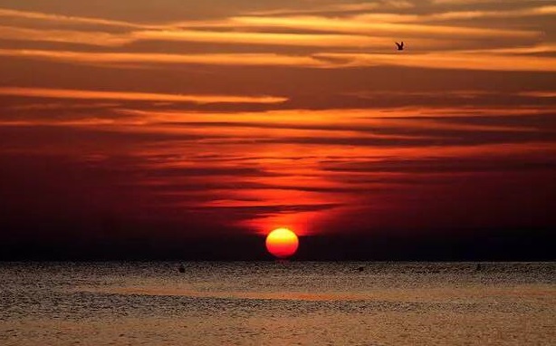 نور خورشید چه نقشی در سلامتی دارد؟