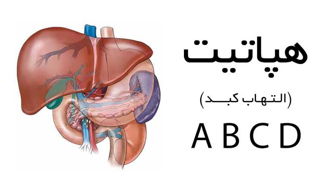 همه چیز درباره انواع هپاتیت همه چیز درباره انواع هپاتیت