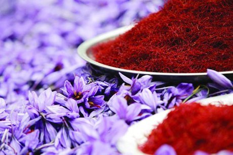 تولید زعفران ۷۰ درصد کم شد تولید زعفران ۷۰ درصد کم شد