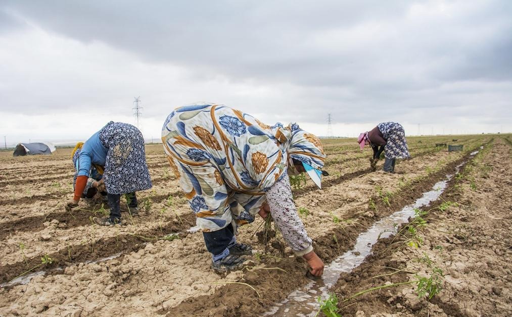 راهاندازی ۴۵۰ صندوق اعتبارات خرد زنان روستایی برای اشتغال زایی راهاندازی ۴۵۰ صندوق اعتبارات خرد زنان روستایی برای اشتغال زایی