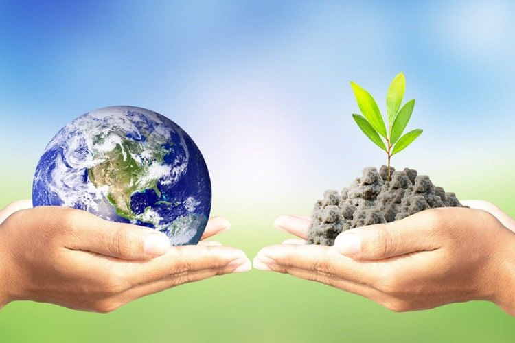 رژیم غذایی چگونه بر تغییر کاربری زمین تاثیرگذار است؟ رژیم غذایی چگونه بر تغییر کاربری زمین تاثیرگذار است؟
