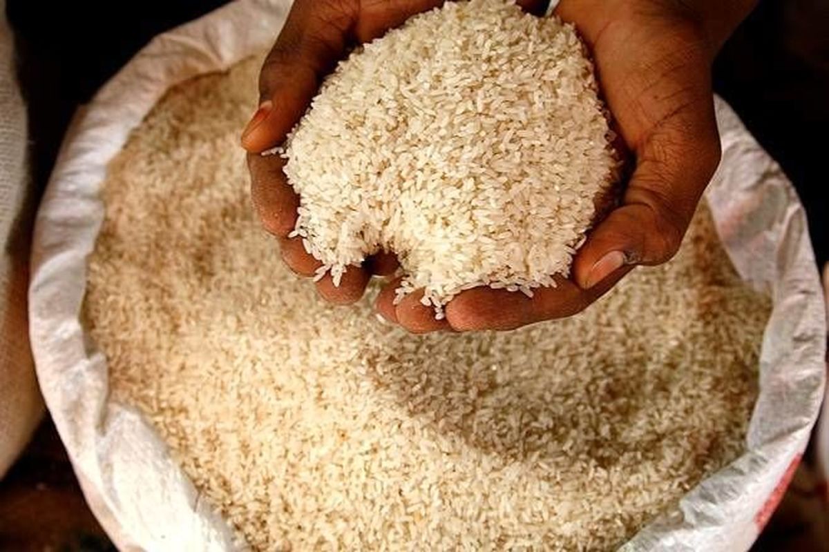 افزایش بیش از ۹۵ درصدی قیمت برنج ایرانی نسبت به سال گذشته افزایش بیش از ۹۵ درصدی قیمت برنج ایرانی نسبت به سال گذشته