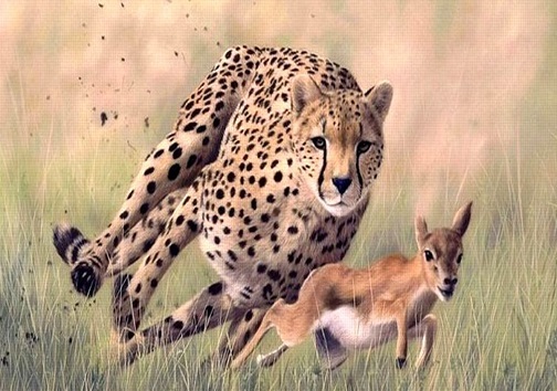 خراسان جنوبی میزبان کدام گونه های جانوری است؟ خراسان جنوبی میزبان کدام گونه های جانوری است؟