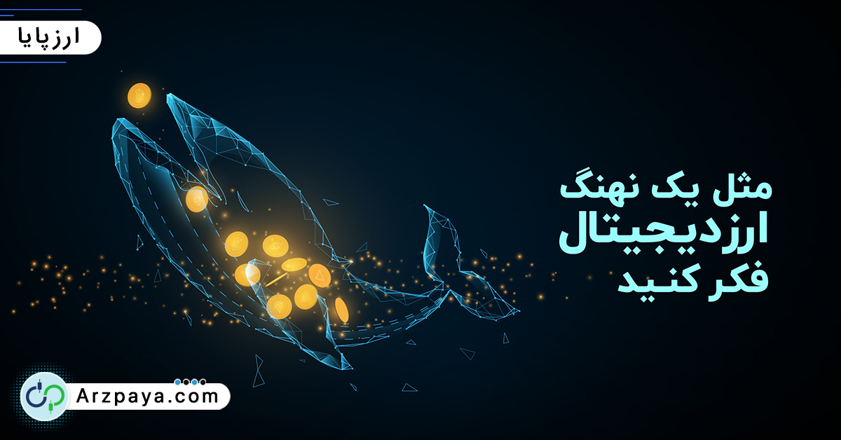 مثل یک نهنگ ارز دیجیتال فکر کنید مثل یک نهنگ ارز دیجیتال فکر کنید