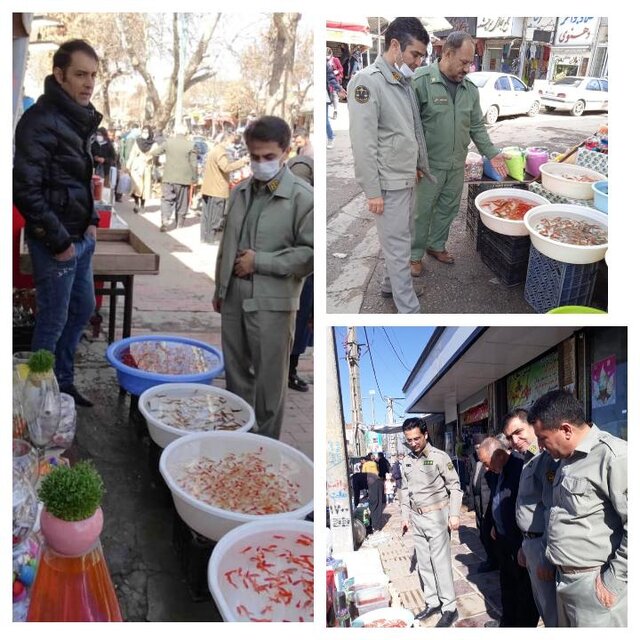 فروشندگان ماهی های زینتی تحت نظارت محیط زیست؟! فروشندگان ماهی های زینتی تحت نظارت محیط زیست؟!