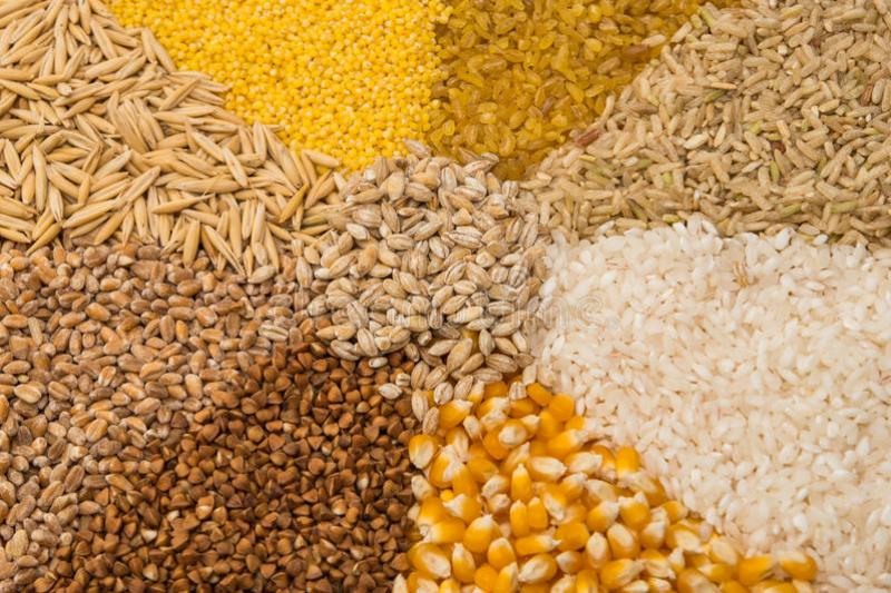 نشانه هایی از کاهش قیمت غلات پس از مذاکرات دیده می شود نشانه هایی از کاهش قیمت غلات پس از مذاکرات دیده می شود
