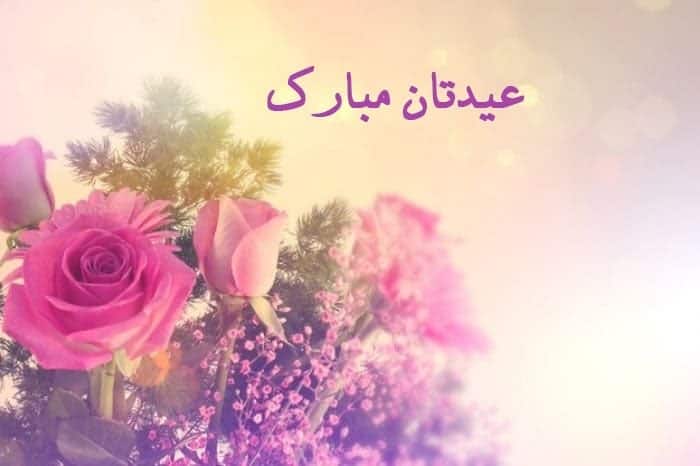 پیام زیبای تبریک عید نوروز به پدر و مادر همسر پیام زیبای تبریک عید نوروز به پدر و مادر همسر