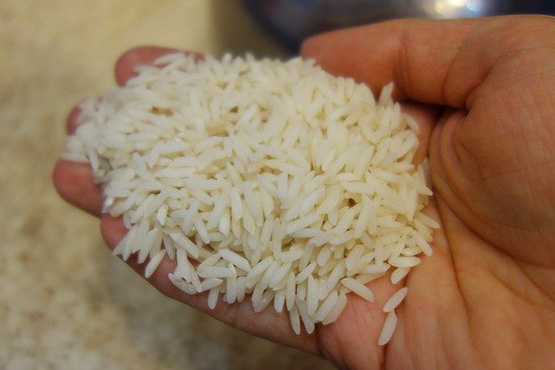 توزیع برنج های دولتی تاریخ مصرف گذشته تکذیب شد توزیع برنج های دولتی تاریخ مصرف گذشته تکذیب شد