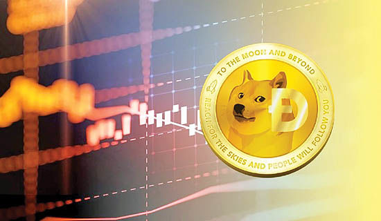 افزایش ۱۶۵ برابری دوج کوین افزایش ۱۶۵ برابری دوج کوین