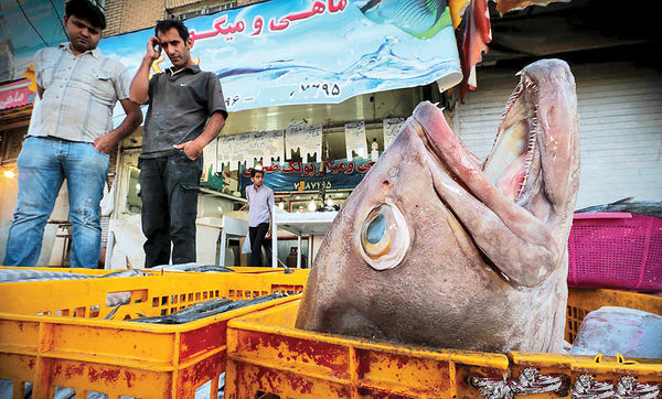 کاهش ۴۰درصدی فروش ماهی کاهش ۴۰درصدی فروش ماهی