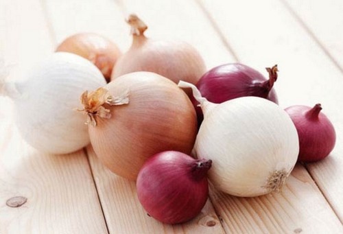 ۶۸هزار تن پیاز کشاورزان هرمزگان و جنوب کرمان خریداری شد ۶۸هزار تن پیاز کشاورزان هرمزگان و جنوب کرمان خریداری شد