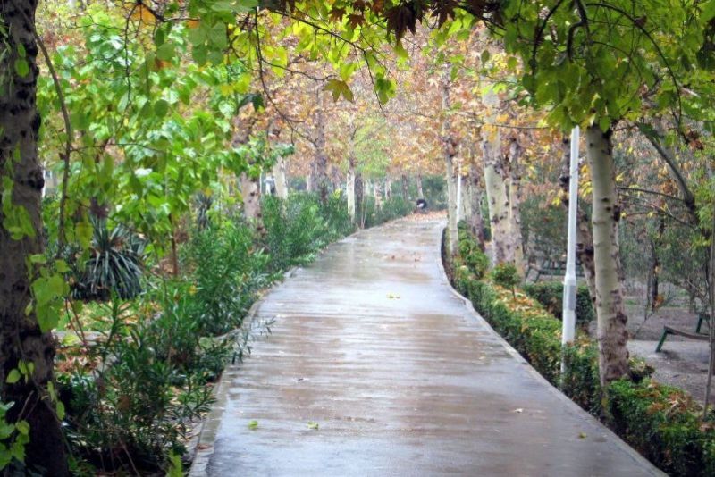 بارش باران در بیشتر نقاط کشور بارش باران در بیشتر نقاط کشور
