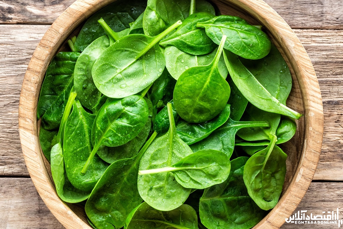 چند دلیل برای مصرف روزانه اسفناج چند دلیل برای مصرف روزانه اسفناج