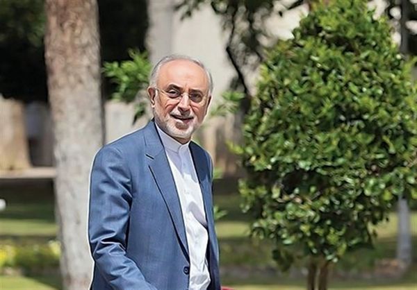 صالحی: در حال بررسی کاندیداتوری انتخابات هستم / ترجیحم بر نیامدن است صالحی: در حال بررسی کاندیداتوری انتخابات هستم / ترجیحم بر نیامدن است