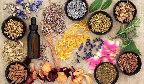 طب سنتی در عطش حضور پر رنگتر سازمانهای بیمهگر طب سنتی در عطش حضور پر رنگتر سازمانهای بیمهگر