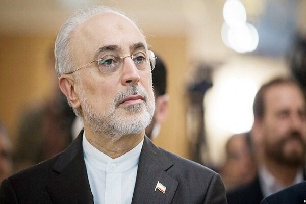 صالحی به مدیرکل آژانس بین المللی انرژی اتمی نامه نوشت صالحی به مدیرکل آژانس بین المللی انرژی اتمی نامه نوشت