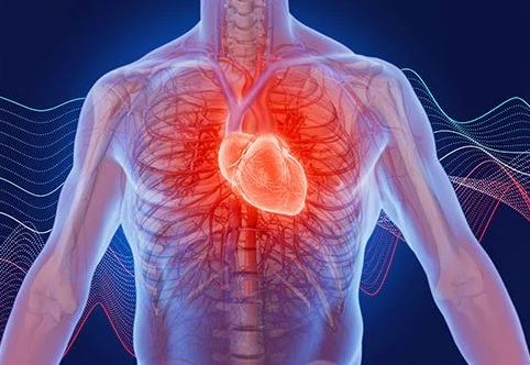 علائم هشدار دهنده سکته قلبی علائم هشدار دهنده سکته قلبی