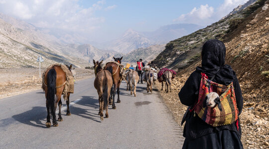 ماجرای کوچ خارجی ها در ایران + عکس ماجرای کوچ خارجی ها در ایران + عکس