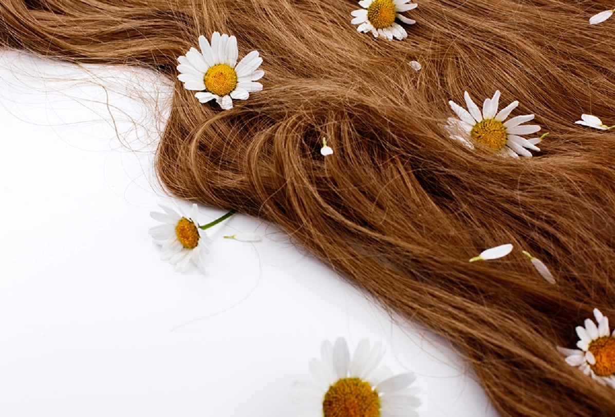 ۱۹ داروی گیاهی برای رشد مو ۱۹ داروی گیاهی برای رشد مو