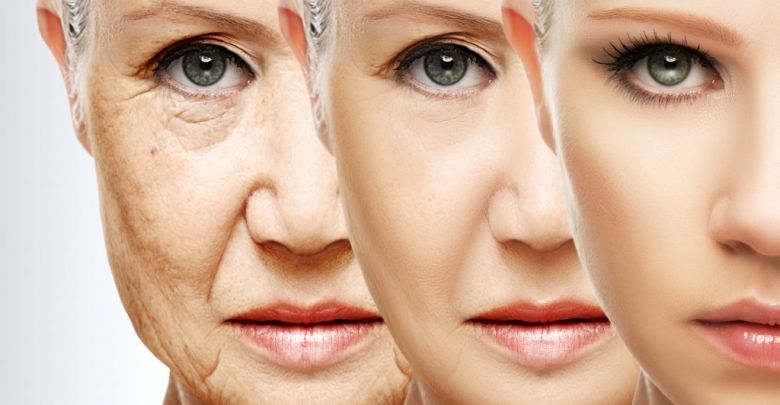 جلوگیری از پیر شدن ممکن است؟ جلوگیری از پیر شدن ممکن است؟
