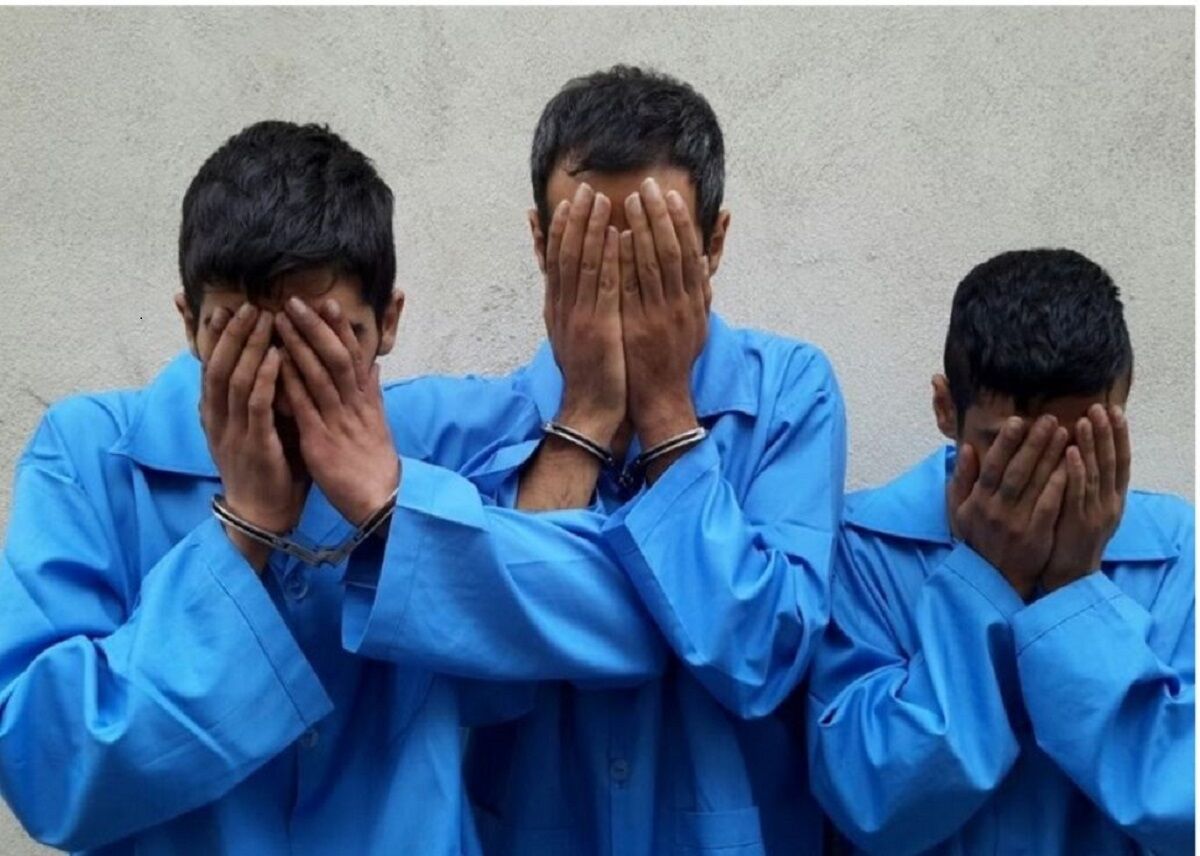 دستگیری ۷نفر از اراذل و اوباش درگیری شهرستان آستارا + فیلم دستگیری ۷نفر از اراذل و اوباش درگیری شهرستان آستارا + فیلم
