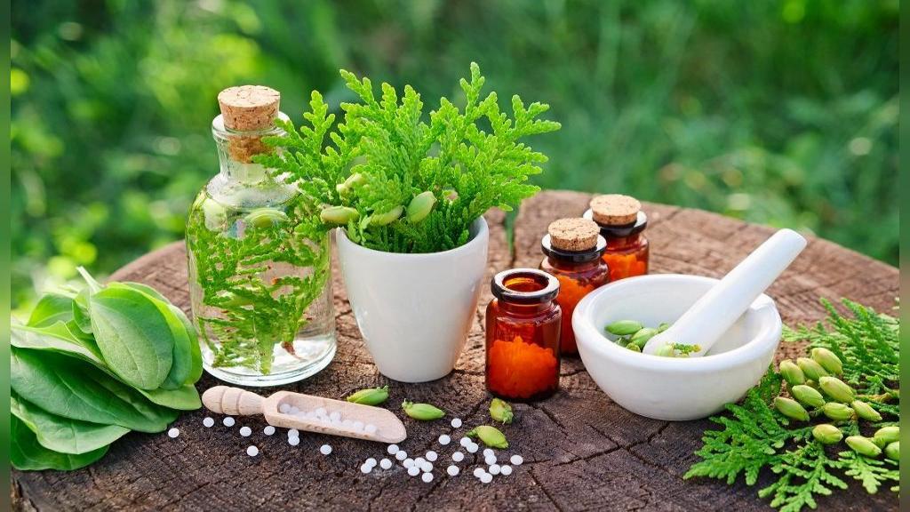 داروهای گیاهی هم می تواند مضر باشد داروهای گیاهی هم می تواند مضر باشد